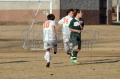 2-9-15 SA vs PA 083